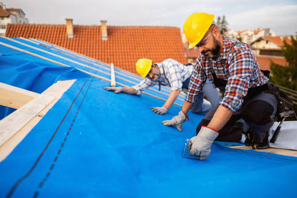 Best Sheet Metal Roofing  in Wyoming, IL